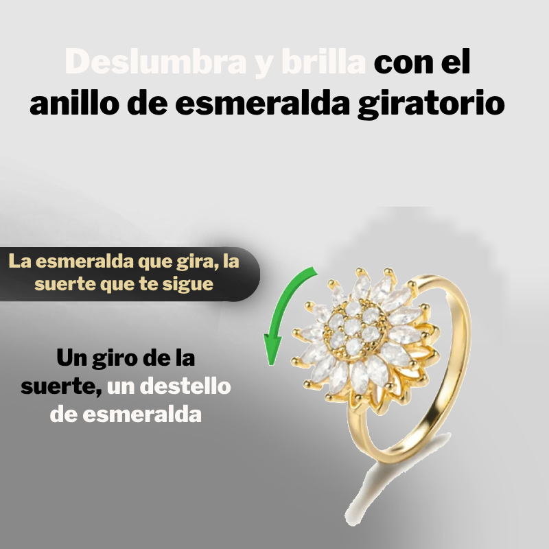 Anillo Giratorio