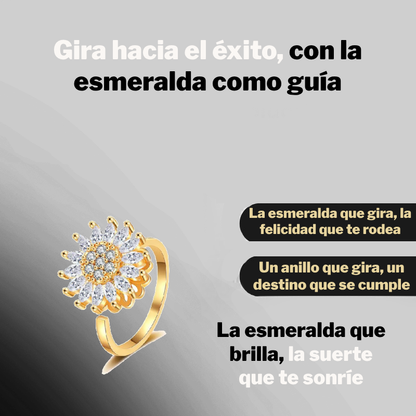 Anillo Giratorio