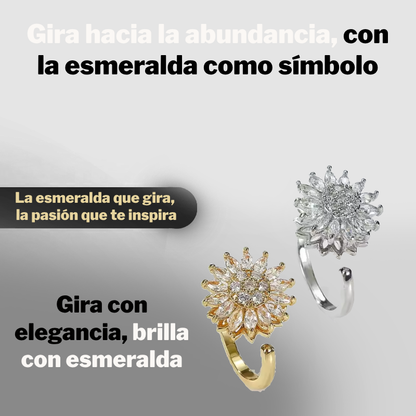 Anillo Giratorio