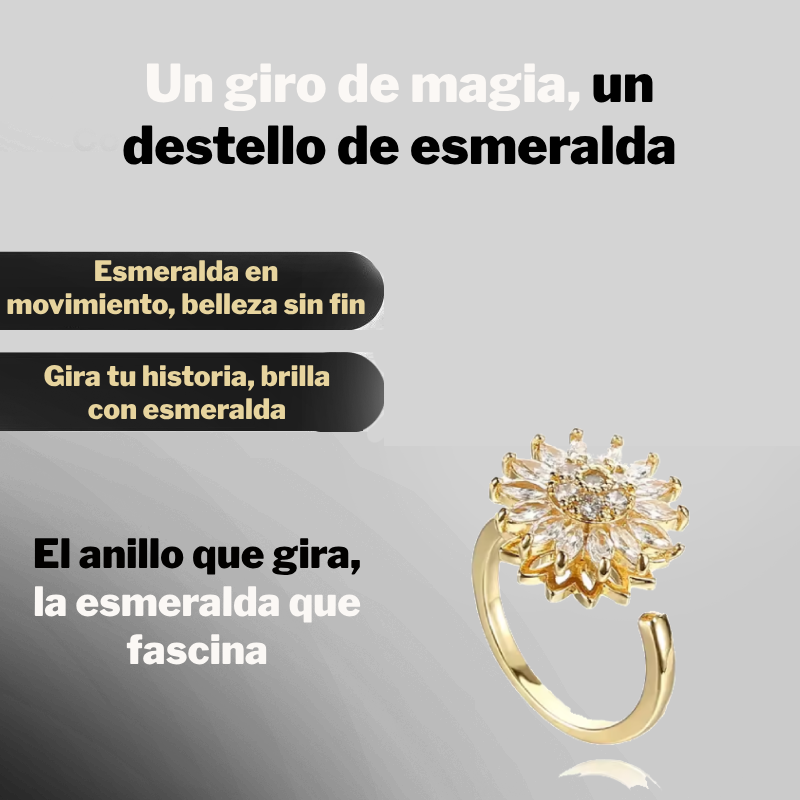 Anillo Giratorio