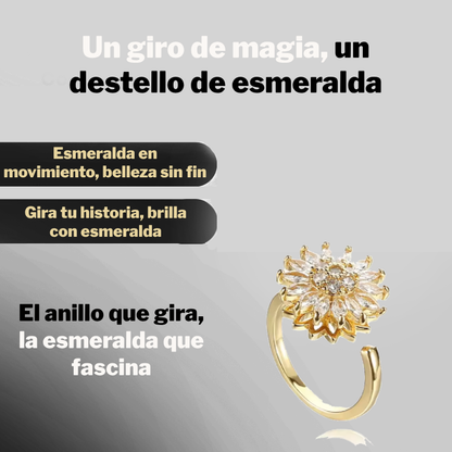 Anillo Giratorio